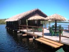 Amazon Lodge