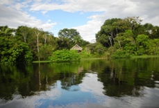 Amazon Lodge