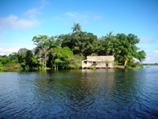 Amazon Lodge