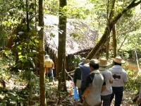 Cabana en la selva