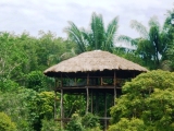 Redário
