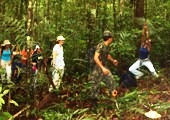 Sobreviv�ncia na selva