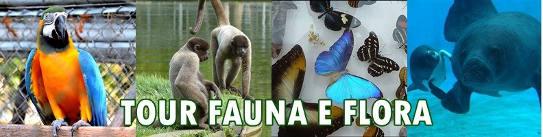 Tour Fauna e Flora