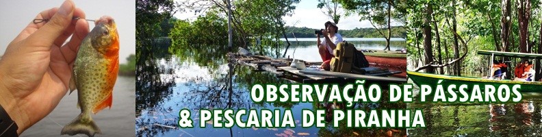 Observação de Pássaros e Pesca de Piranhas!