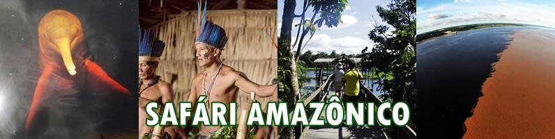 Safari Amazónico!