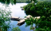 Hoteles en la selva.
