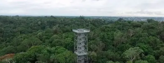 Amazon Explorers - MUSA - Torre