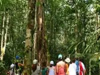 Excurses - Caminhada