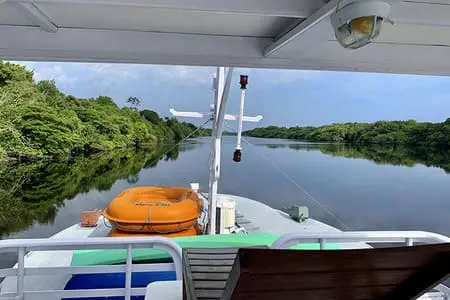 Barco Iara - Top Deck