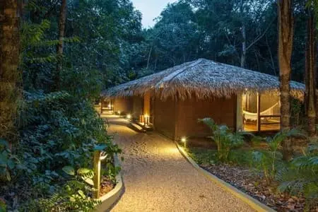 Anavilhanas Lodge - Chalé - Acesso