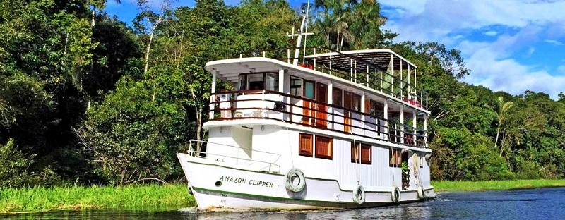 Clipper Tradicional  