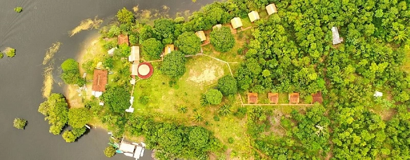  Amazon Turtle - Aérea 