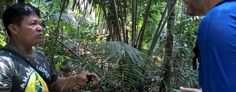  Amazon Lodge -Biodiversidade- 