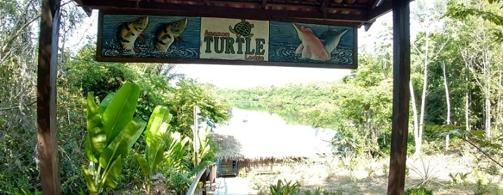  Amazon Turtle - Portal 