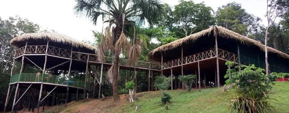 Amazon Tupana