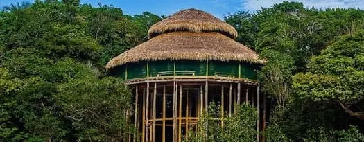 Juma Amazon Lodge - Restaurante
