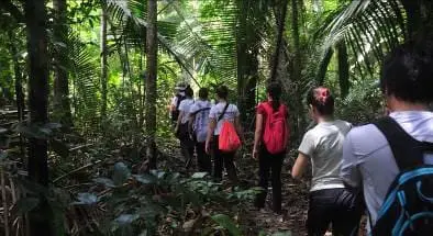 Excursões - Caminhada na floresta