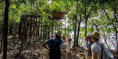 Excursões - Ao redor do Juma