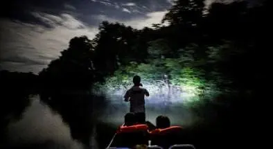 Excursões - Passeio noturno
