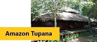 Amazon Tupana Lodge - Haz clic para más informaciones y tarifas