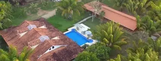 Amazon Turtle - Aérea