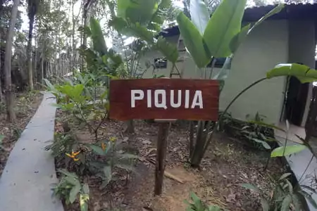 Amazon Premium Lodge - sinalização