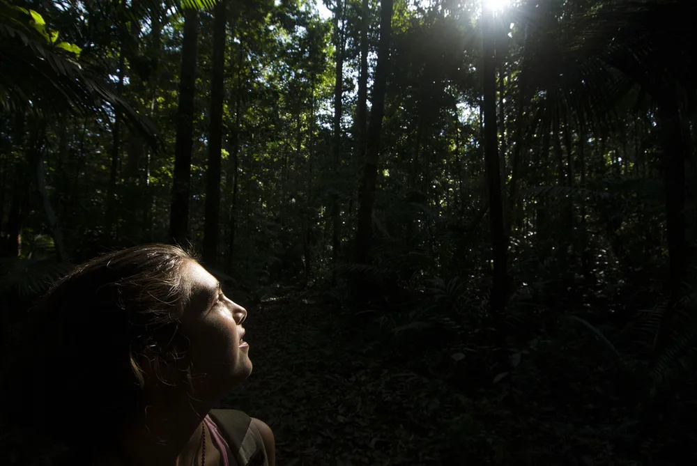  Private Rainforest Refuge - Amazon Glamping - Bajo Río Negro - Caminata