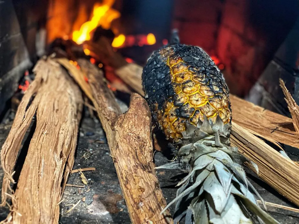  Private Rainforest Refuge - Experiencia culinaria