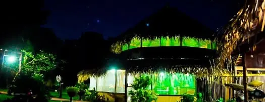 Amazon Turtle - Aérea